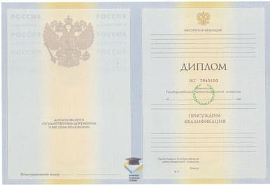 Диплом Набережночелнинского филиала СГА 2010-2011 годов