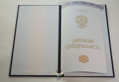 Диплом ИСЭПиМ 2014-2020 годов